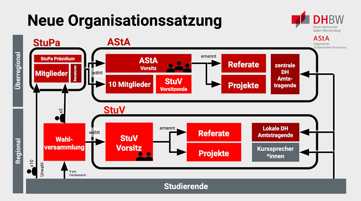 Organigramm der verfassten Studierendenschaft der DHBW
