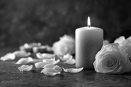 Eine brennende weiße Kerze neben weißen Rosen und verstreuten Rosenblättern auf dunklem Hintergrund.